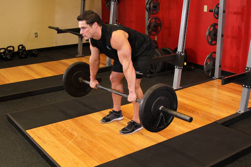 Barbell Rear Delt Row