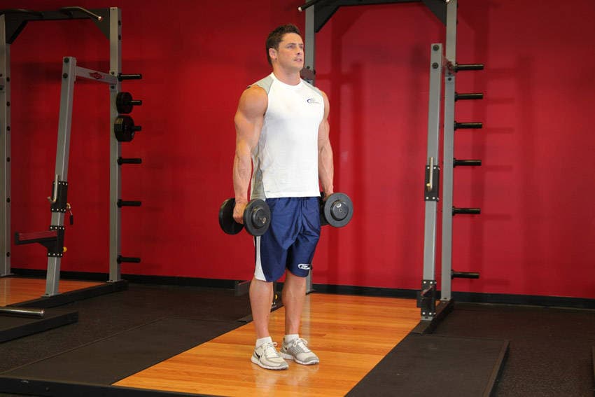 Hammer Curls