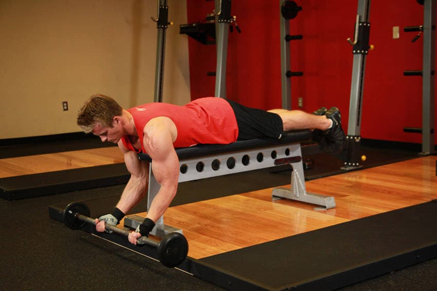 Lying High Bench Barbell Curl