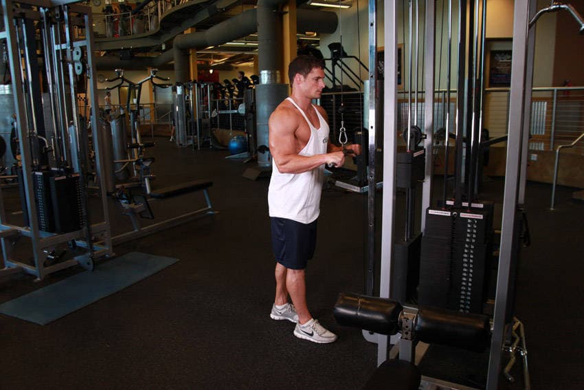 Triceps Pushdown